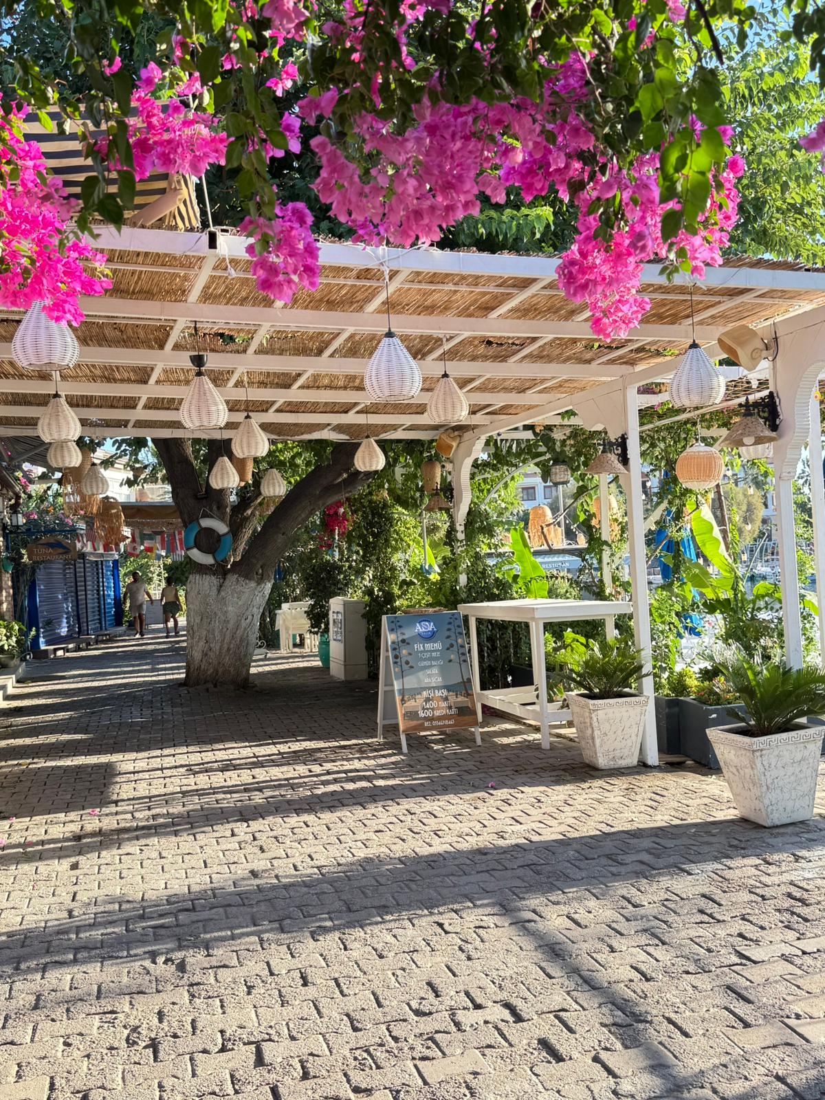 Ada Balik Datca giris, begonvil cicekleri altinda